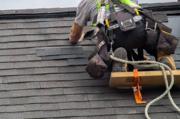 Quick and Trustworthy Emergency Roof Repair Services in Pasadena Hills, FL